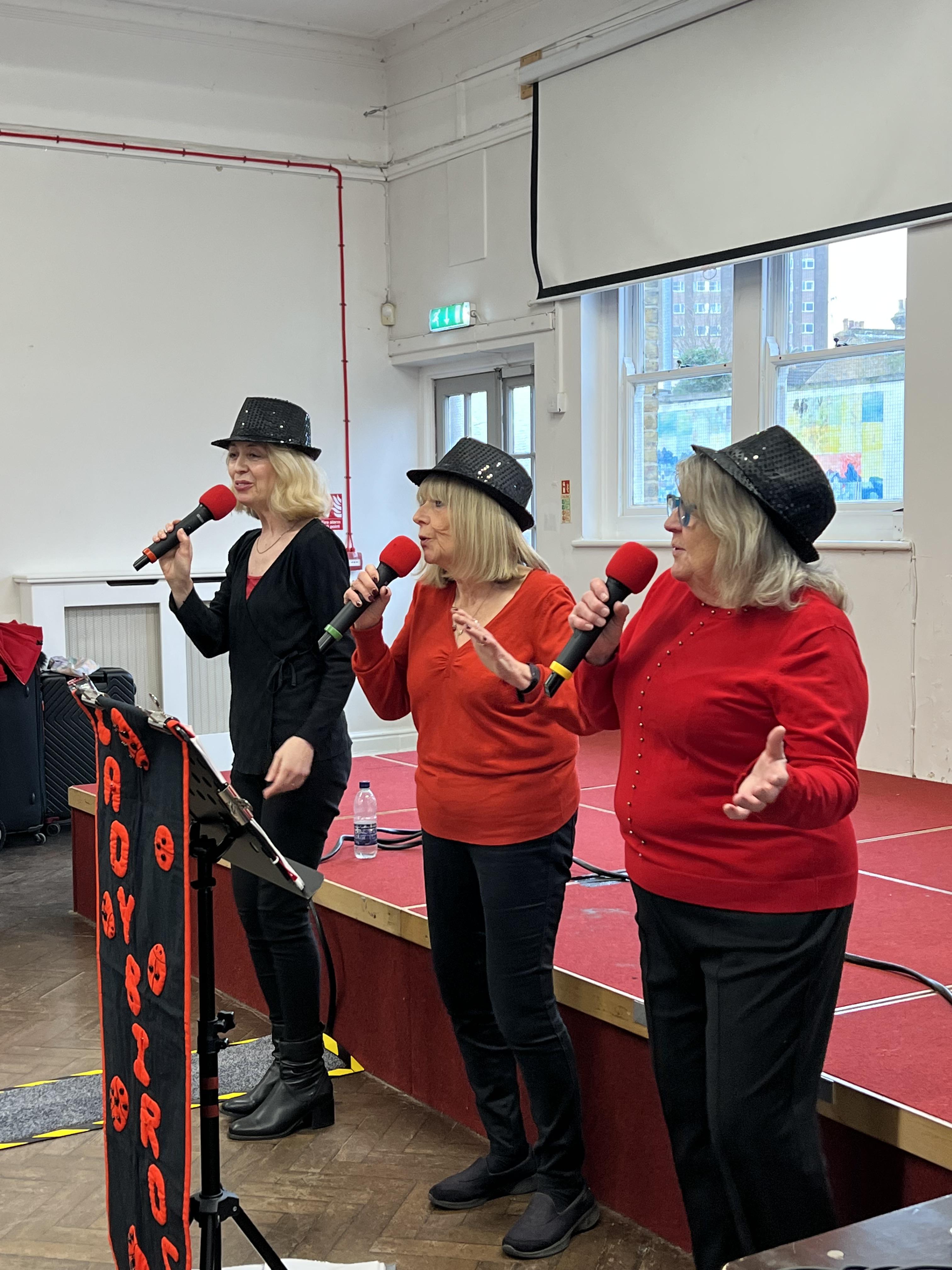 'Ladybirds' performance